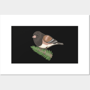 Dark-Eyed Junco Posters and Art